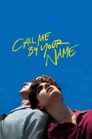 เอ่ยชื่อคือคำรัก Call Me by Your Name (2017)