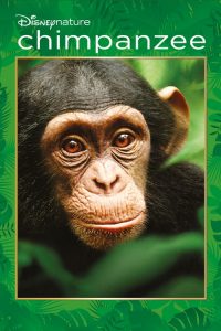ชิมแปนซี ผจญภัยในป่ากว้าง Chimpanzee (2012)