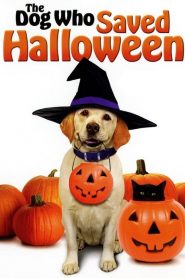 บิ๊กโฮ่ง ซูเปอร์หมา ป่วนฮาโลวีน The Dog Who Saved Halloween (2011)