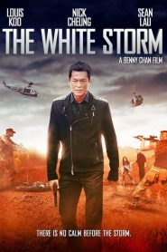 โคตรคนโค่นคนอันตราย The White Storm (2013)