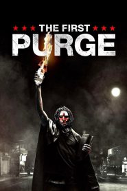 ปฐมบทคืนอำมหิต The First Purge (2018)
