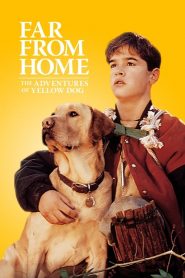 เพื่อนรักแสนรู้ Far from Home: The Adventures of Yellow Dog (1995)