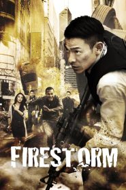 ปิดเมืองล่าโจร Firestorm (2013)