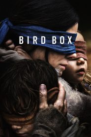 มอง อย่าให้เห็น Bird Box (2018)