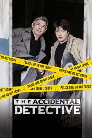 ปริศนาฆาตกร The Accidental Detective (2015)
