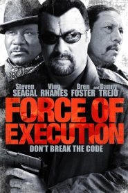 มหาประลัยจอมมาเฟีย Force of Execution (2013)