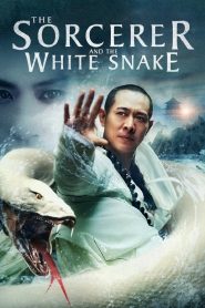 ตำนานเดชนางพญางูขาว The Sorcerer and the White Snake (2011)