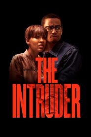จิตหลอนระห่ำบ้าน The Intruder (2019)