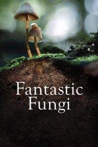 เห็ดมหัศจรรย์ Fantastic Fungi (2019)