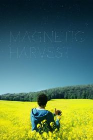 Magnetic Harvest (2019)