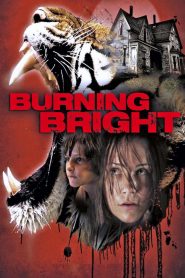 ขังนรกบ้านเสือดุ Burning Bright (2010)