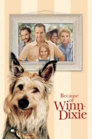 วินน์-ดิ๊กซี่ เพื่อนแท้พันธุ์ตูบ Because of Winn-Dixie (2005)