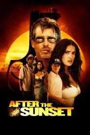 พยัคฆ์โคตรเพชร After the Sunset (2004)