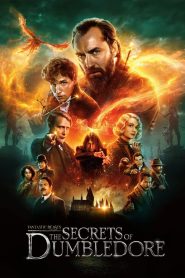 สัตว์มหัศจรรย์ ความลับของดัมเบิลดอร์ Fantastic Beasts: The Secrets of Dumbledore (2022)