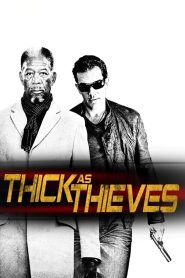 ผ่าแผนปล้น คนเหนือเมฆ Thick as Thieves (2009)