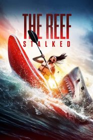 ครีบพิฆาต The Reef: Stalked (2022)