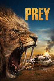 ขย้ำ Prey (2024)