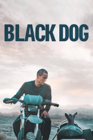 สี่ขาหัวใจไม่ดำ Black Dog (2024)